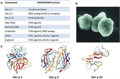 Lessons in Innate and Allergic Immunity From Dust Mite Feces and Tick Bites